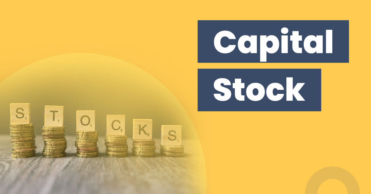 Understanding Capital Stocks