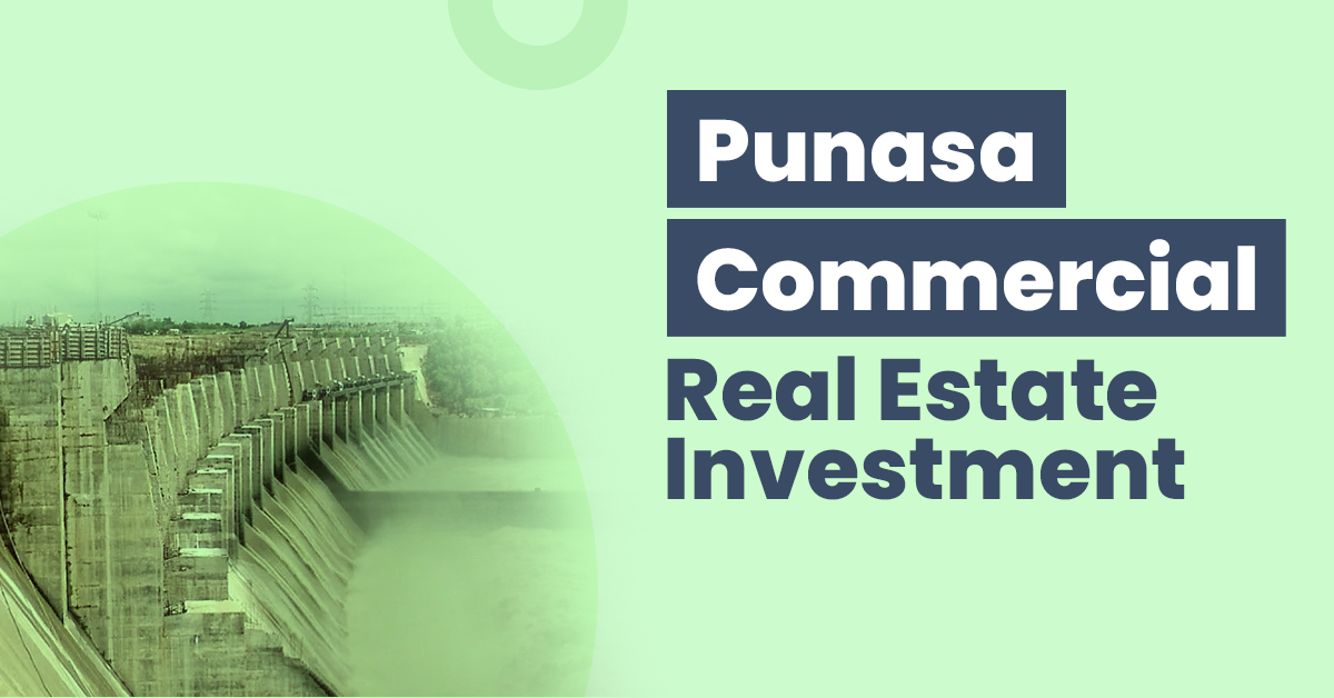 Guide for Punasa Commercial Real Estate Investment